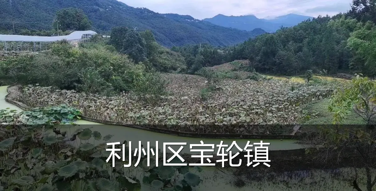 利州区宝轮镇
